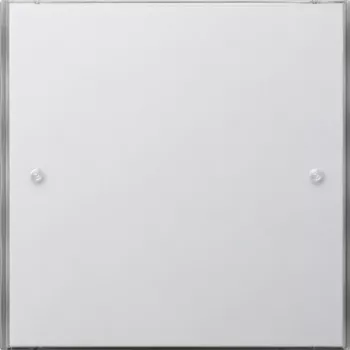 Gira 2031112 tecla com símbolo de luz e janela de controlo, branco puro brilhante