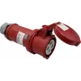 AS SCHWABE 60576 Ficha CEE 32 A 4 polos 400 V IP44