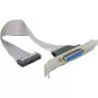 Delock chapa de slot 1 x porta paralela DB25 fêmea para 26-Pin IDC - 25 cm 84300