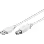 Wentronic 96186 Cabo USB 2.0, ficha USB-A para ficha USB-B, 1,8 m, branco
