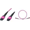 Cabo patch MPO LogiLink FM7LC05, 12 fibras, multimodo OM4 50/125 µm, MPO/PC B/B, tipo B, 5 m