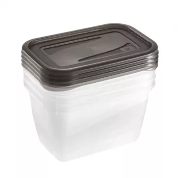 keeeper fredo fresh conjunto de recipientes de armazenamento, 4 x 0,75 L, retangular, transparente com tampas cinzentas 3067382700000