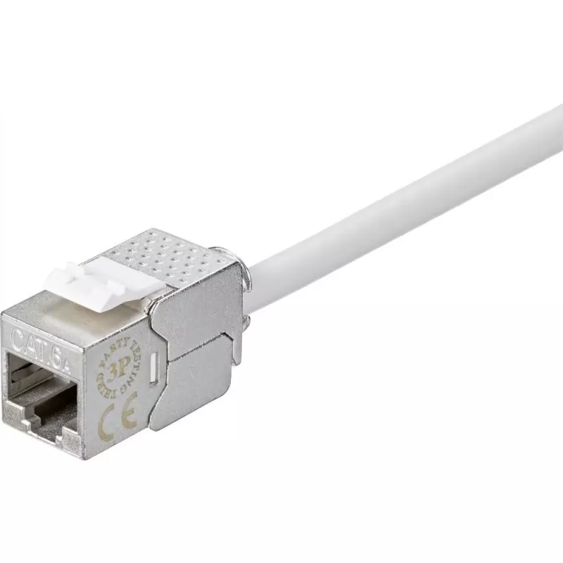 Renkforce RF-4531196 acoplador RJ45 Cat.6a blindado prateado