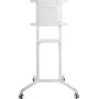 Suporte de TV móvel PureLink PureMounts, branco (PM-CART-80W)