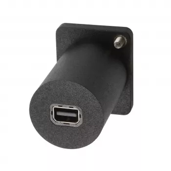 Adaptador de encastrar EXSYS EX-49170 DisplayPort para conector fêmea Mini DisplayPort, 4K UHD