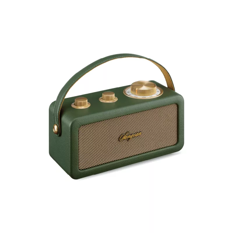 Coluna Bluetooth portátil Sangean RA-101 Forest Gold