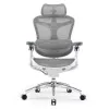 Cadeira de escritório ergonómica em malha Sihoo DORO C300 Pro branca