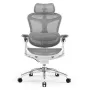 Cadeira de escritório ergonómica em malha Sihoo DORO C300 Pro branca
