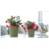 STEFANPLAST vaso com prato Ethica Ø40x39cm verde
