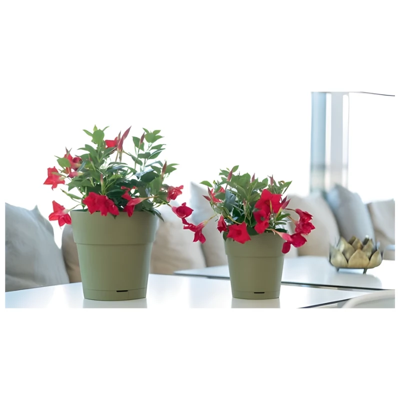 STEFANPLAST vaso com prato Ethica Ø40x39cm verde