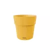 STEFANPLAST Ethica vaso com prato Ø20x19cm amarelo-mostarda