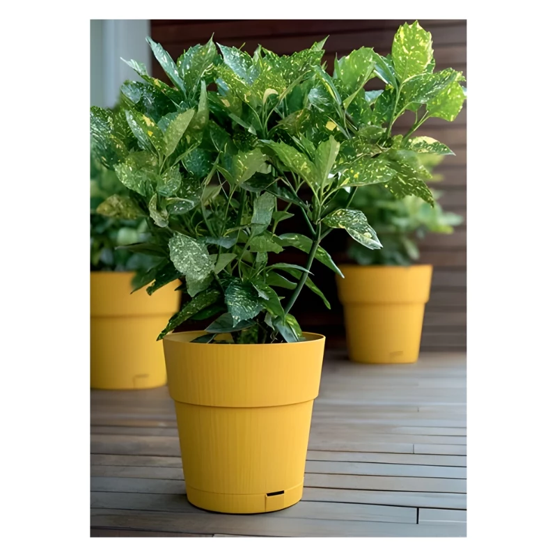 STEFANPLAST Vaso Ethica com prato Ø40x39cm amarelo-mostarda