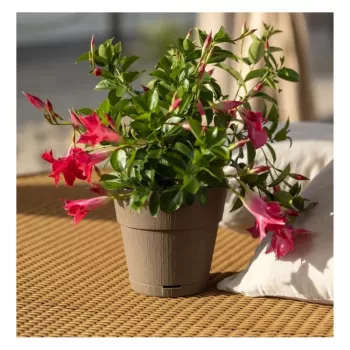 Vaso de flores STEFANPLAST Ethica com prato Ø20x19cm castanho