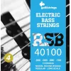 Galli RSB40100 cordas para baixo - conjunto de 4 cordas, aço niquelado, enroladas redondas, .040-.100, escala longa