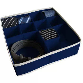 ORDINETT Caixa com divisórias L 30,5x30,5x10 cm Azul