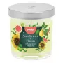 Vela perfumada BOLSIUS Floral Fusion em vidro, girassol e citrinos, Ø80x72mm