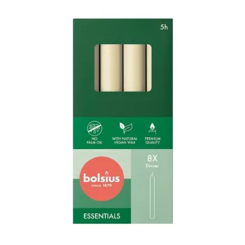 BOLSIUS Velas de mesa 8 unidades numa caixa 170/20mm pérola