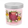 Bolsius Vela perfumada Floral Fusion jasmim & manga em vidro, 80x72 mm