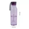 LOCKNLOCK Eco Bottle 550ml roxo