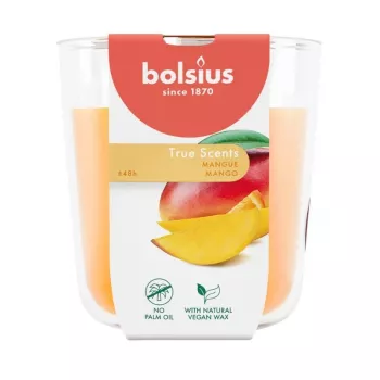 BOLSIUS True Scents vela perfumada de manga em vidro, Ø97x85 mm