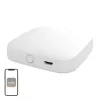 Gateway Mesh Wi-Fi/Bluetooth MOES BHUB-W