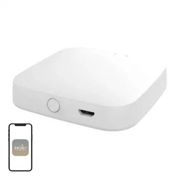Gateway Mesh Wi-Fi/Bluetooth MOES BHUB-W