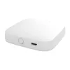 Gateway Mesh Wi-Fi/Bluetooth MOES BHUB-W