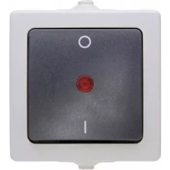 HEINRICH KOPP Nautic interruptor unipolar de superfície, IP44, cinzento, 10A 250V AC 565296007