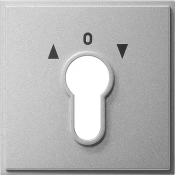 Gira System 55 Tecla com símbolo de luz, branco puro brilhante (066465)