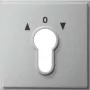 Gira System 55 Tecla com símbolo de luz, branco puro brilhante (066465)