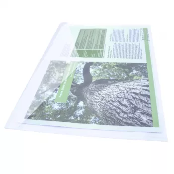 Rapesco ECO GRS A3 capas de documentos transparentes (pack de 10) 1817