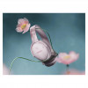 Auscultadores Bose QuietComfort rosa