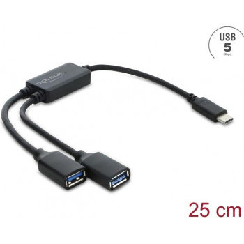 Delock Hub USB 2 portas 5 Gbps Type-A com conector USB Type-C™ 25 cm (64373)
