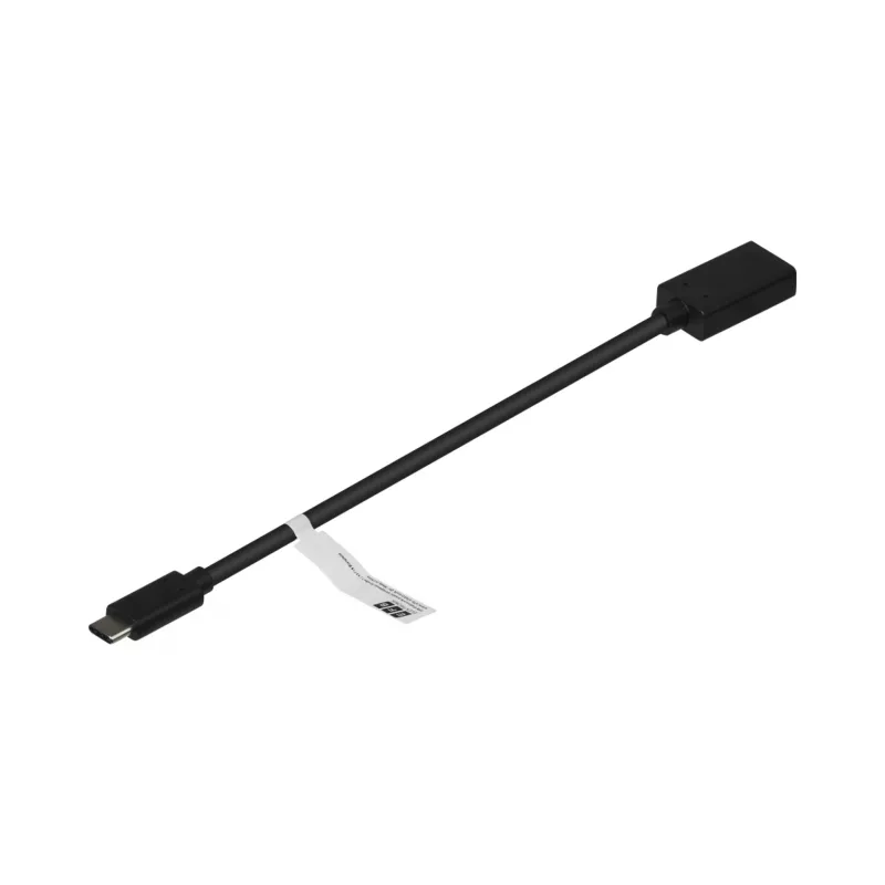 EFB-Elektronik Adaptador USB-C para DisplayPort 1.2, 4K 60 Hz, preto