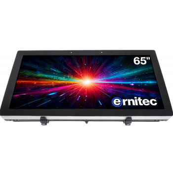 Monitor Ernitec 65