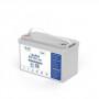 Volt Polska Bateria de lítio-ferro-fosfato LiFePO4 12V 100Ah, 100A