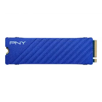 SSD PNY CS2341 1TB M.2 PCIe Gen4 NVMe (M280CS2341PS5-1TB-RB)