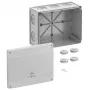 Spelsberg Abox Pro 250-L Caixa de derivação, IP66/IP67/IP69, 42540001