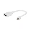 Adaptador Mini DisplayPort para DisplayPort Gembird, branco