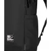 Mochila Jack Wolfskin Smileyworld 22 L, antracite