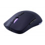 Lenovo Legion M220 rato gaming sem fios RGB, 2,4 GHz / Bluetooth / cabo, Nebula Purple (GY51V60439)