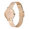 Relógio de mulher Daniel Wellington DW00100795, 28 mm