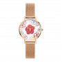 Relógio de mulher Daniel Wellington DW00100722, 36 mm