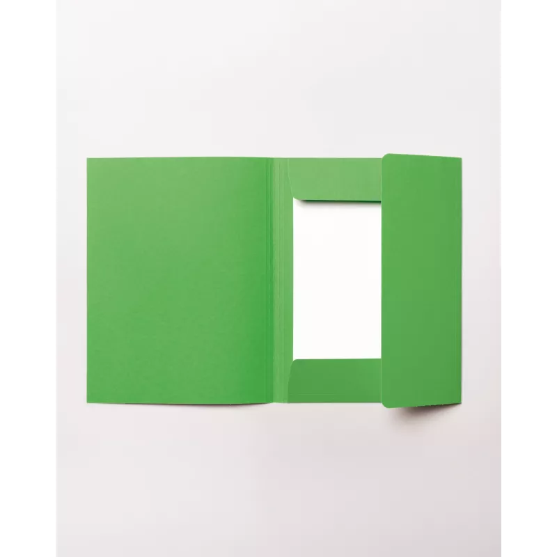 Pasta de arquivo folia DIN A4, verde