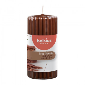 Bolsius True Scents Vela perfumada cilindro Ø58 x 120 mm, Oud Wood
