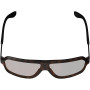 Óculos de ciclismo Leatt TheViz Andes Polarized, castanhos