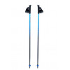 Bastões de marcha nórdica Viking Pro-Trainer, azul, 110 cm