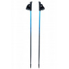 Bastões de trekking Viking Pro-Trainer, azul, 115 cm
