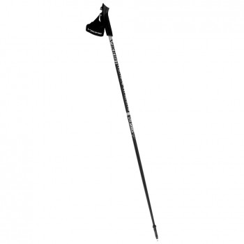 Bastões de marcha nórdica VIKING Lite Pro 115 cm, prateado/preto