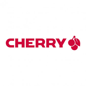 Cherry DW 9100 SLIM conjunto de teclado e rato, sem fios RF + Bluetooth, AZERTY (belga), preto